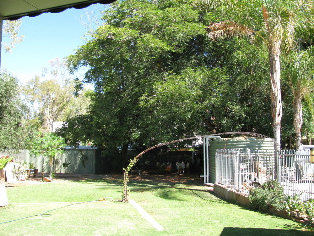Kathys Place Bed And Breakfast Alice Springs Exterior foto